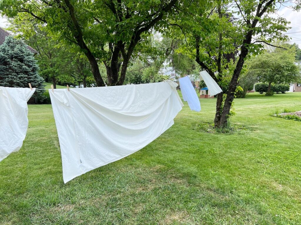 White sheets on clothesline between trees with green grass below